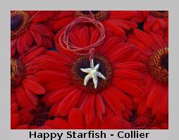 Happy Starfish Ohrringe
