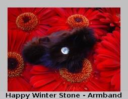 Happy Winter Stone Choker