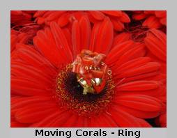 Little Reef Ohrringe & Great Reef Collier & Coral Reef Family Armband