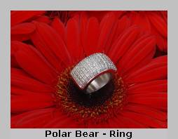 Polar Ohrringe