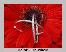 Polar Bear Ring