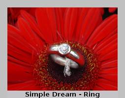 Simple Dream Collier