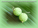 Chinese Lantern