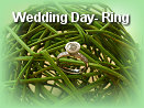 Wedding Day